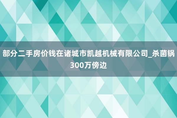 部分二手房价钱在诸城市凯越机械有限公司_杀菌锅300万傍边